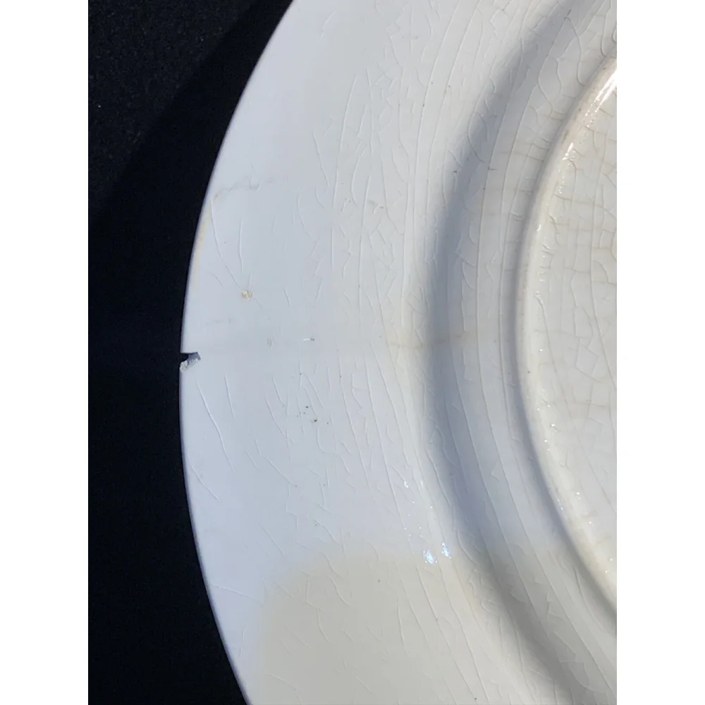 Manchu Wedgwood 10 1/4 Inch‎ Cabinet Plate England Beautiful